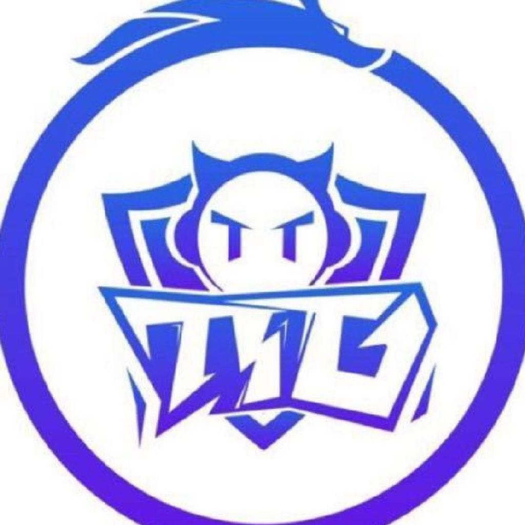 Team Vitality